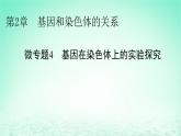 2024春高中生物第2章基因和染色体的关系微专题4基因在染色体上的实验探究课件（人教版必修2）