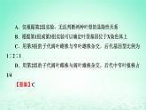 2024春高中生物第2章基因和染色体的关系微专题4基因在染色体上的实验探究课件（人教版必修2）