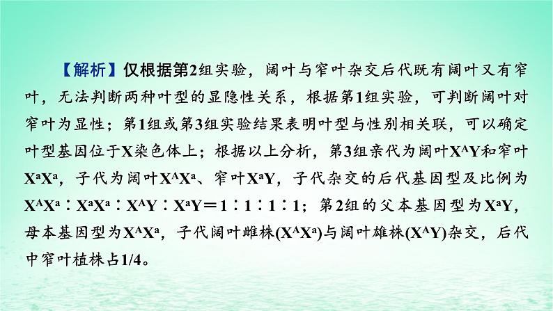 2024春高中生物第2章基因和染色体的关系微专题4基因在染色体上的实验探究课件（人教版必修2）第5页