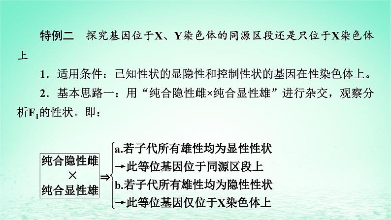 2024春高中生物第2章基因和染色体的关系微专题4基因在染色体上的实验探究课件（人教版必修2）第6页