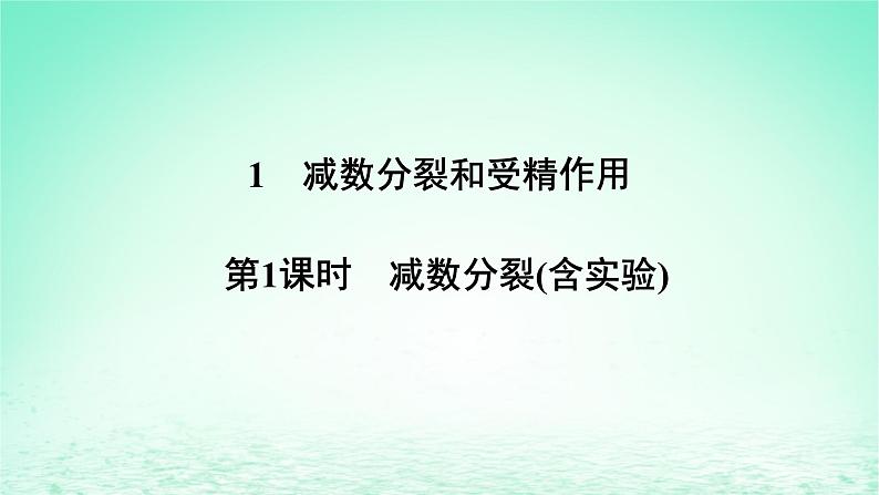 2024春高中生物第2章基因和染色体的关系1减数分裂和受精作用第1课时减数分裂含实验课件（人教版必修2）06