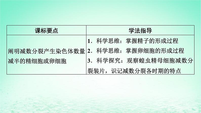 2024春高中生物第2章基因和染色体的关系1减数分裂和受精作用第1课时减数分裂含实验课件（人教版必修2）07