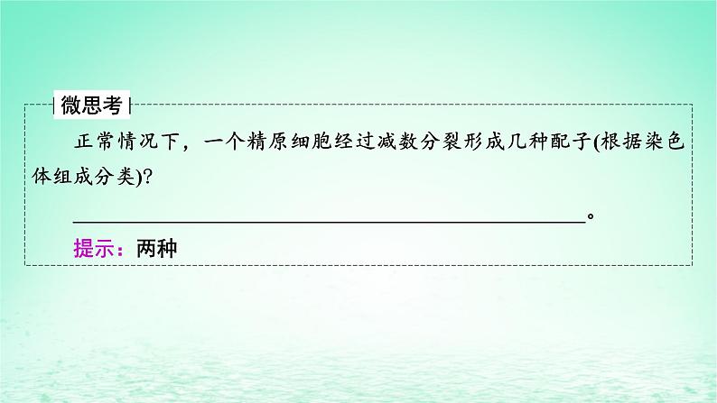 2024春高中生物第2章基因和染色体的关系1减数分裂和受精作用第2课时受精作用课件（人教版必修2）第7页