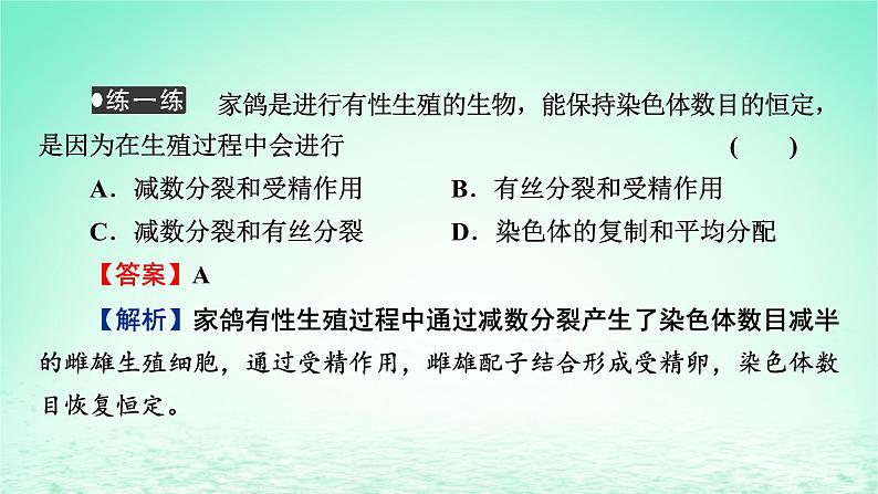 2024春高中生物第2章基因和染色体的关系1减数分裂和受精作用第2课时受精作用课件（人教版必修2）第8页