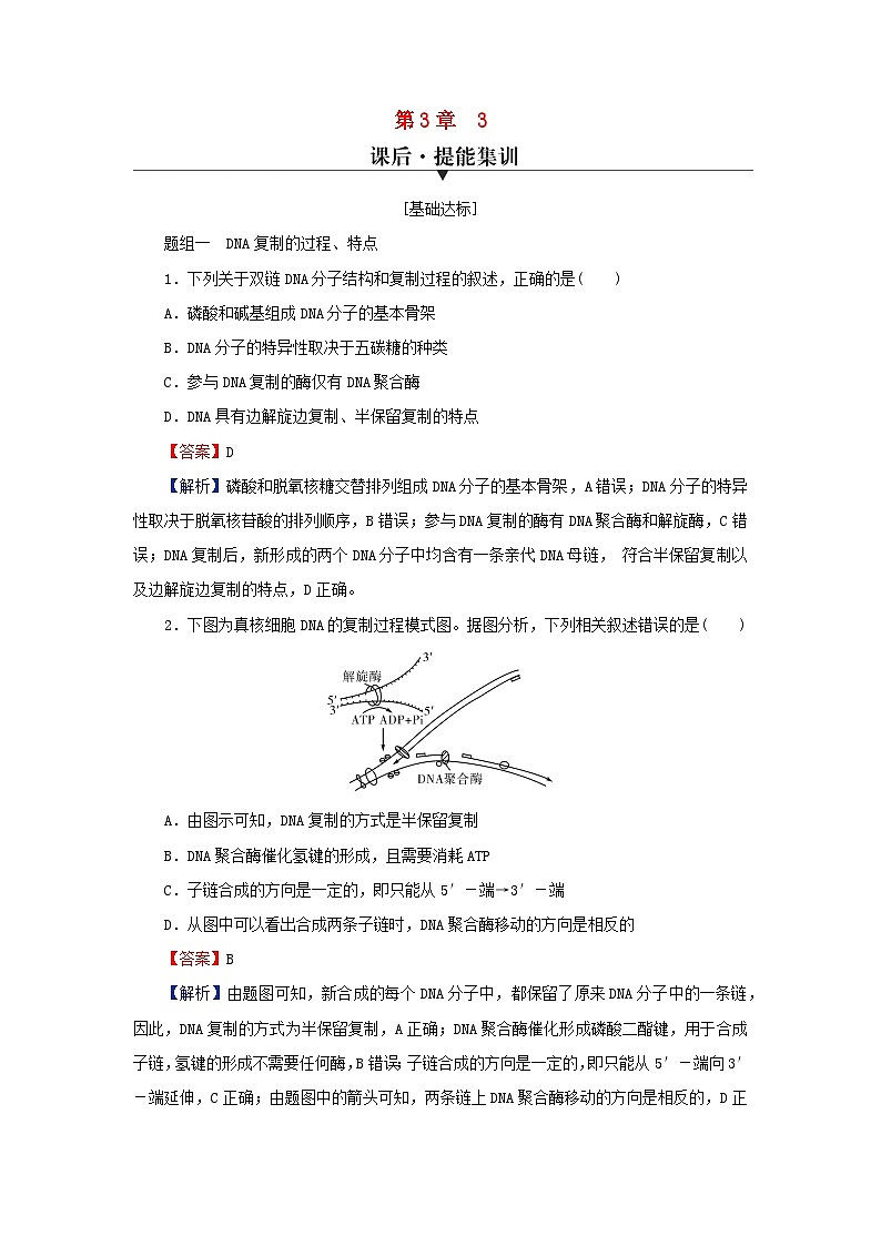 2024春高中生物第3章基因的本质3DNA的复制课后提能训练（人教版必修2）01