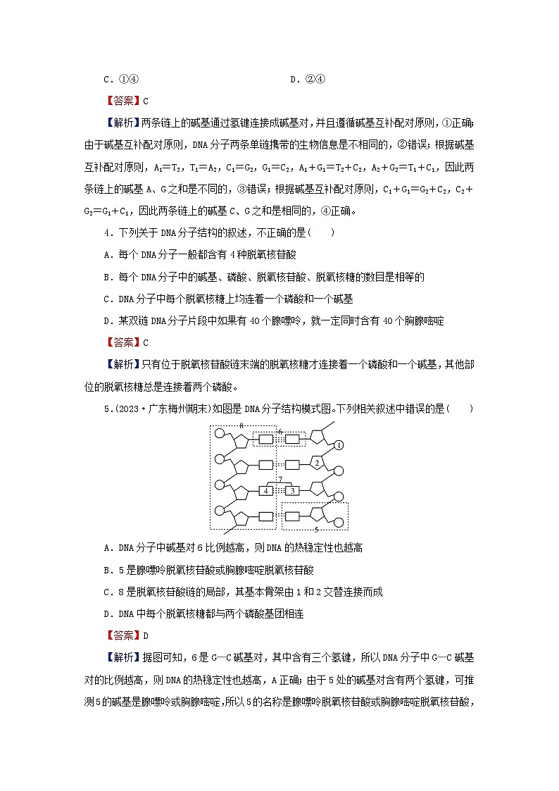 2024春高中生物第3章基因的本质2DNA的结构课后提能训练（人教版必修2）02