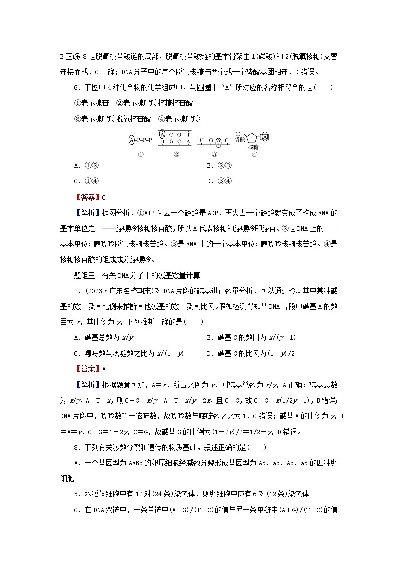 2024春高中生物第3章基因的本质2DNA的结构课后提能训练（人教版必修2）03