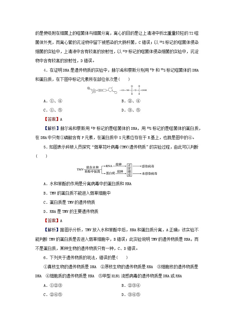 2024春高中生物第3章基因的本质达标检测卷（人教版必修2）第2页
