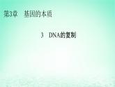 2024春高中生物第3章基因的本质3DNA的复制课件（人教版必修2）