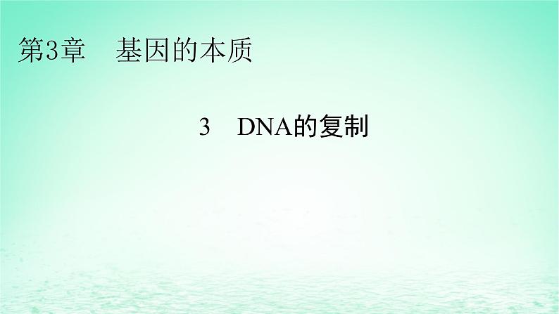 2024春高中生物第3章基因的本质3DNA的复制课件（人教版必修2）第1页