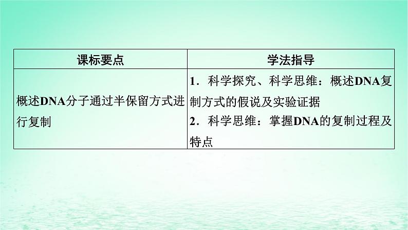 2024春高中生物第3章基因的本质3DNA的复制课件（人教版必修2）第2页