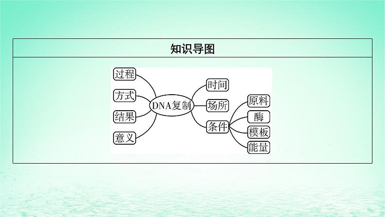 2024春高中生物第3章基因的本质3DNA的复制课件（人教版必修2）第3页