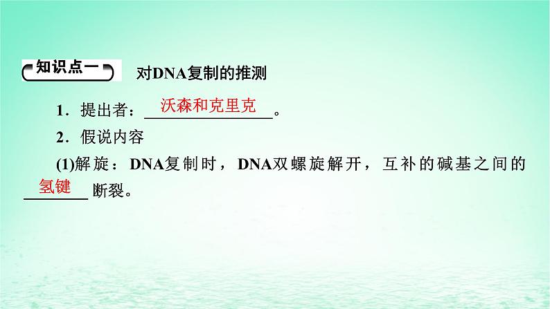 2024春高中生物第3章基因的本质3DNA的复制课件（人教版必修2）第5页