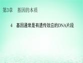 2024春高中生物第3章基因的本质4基因通常是有遗传效应的DNA片段课件（人教版必修2）