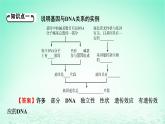 2024春高中生物第3章基因的本质4基因通常是有遗传效应的DNA片段课件（人教版必修2）