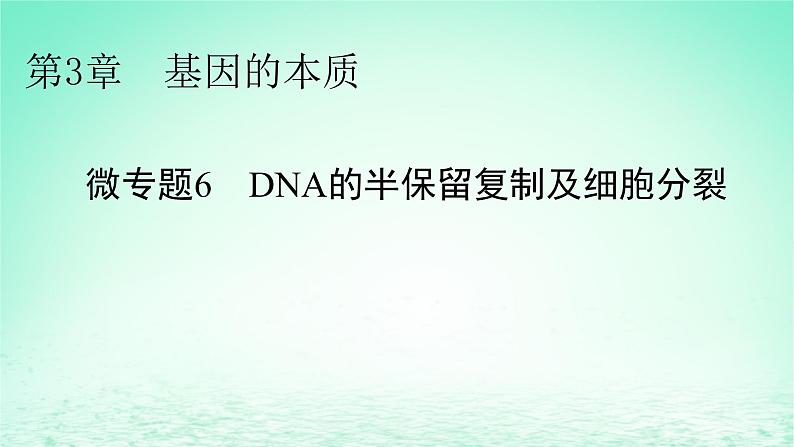 2024春高中生物第3章基因的本质微专题6DNA的半保留复制及细胞分裂课件（人教版必修2）01