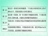2024春高中生物第3章基因的本质微专题6DNA的半保留复制及细胞分裂课件（人教版必修2）