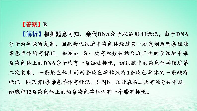 2024春高中生物第3章基因的本质微专题6DNA的半保留复制及细胞分裂课件（人教版必修2）07