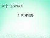 2024春高中生物第3章基因的本质2DNA的结构课件（人教版必修2）