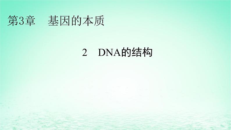 2024春高中生物第3章基因的本质2DNA的结构课件（人教版必修2）01