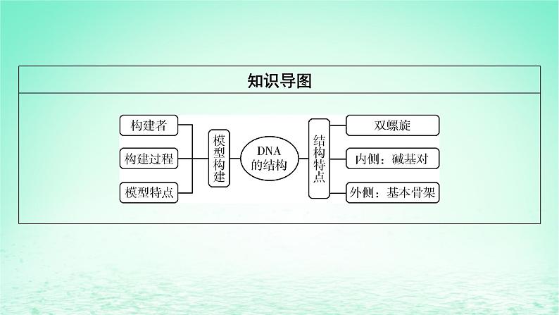 2024春高中生物第3章基因的本质2DNA的结构课件（人教版必修2）03