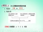 2024春高中生物第3章基因的本质2DNA的结构课件（人教版必修2）