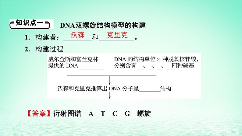 2024春高中生物第3章基因的本质2DNA的结构课件（人教版必修2）05