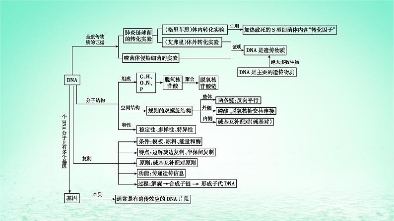 2024春高中生物第3章基因的本质章末总结课件（人教版必修2）03