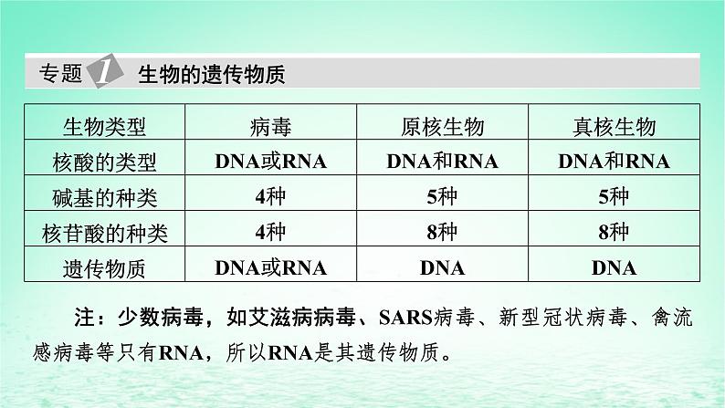 2024春高中生物第3章基因的本质章末总结课件（人教版必修2）05