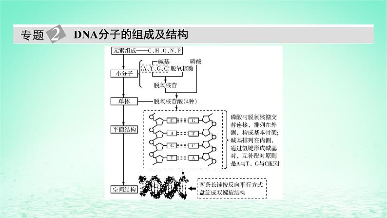 2024春高中生物第3章基因的本质章末总结课件（人教版必修2）08