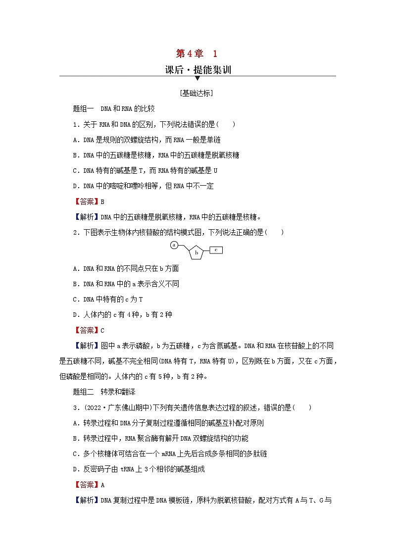 2024春高中生物第4章基因的表达1基因指导蛋白质的合成课后提能训练（人教版必修2）第1页