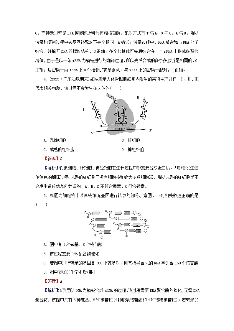 2024春高中生物第4章基因的表达1基因指导蛋白质的合成课后提能训练（人教版必修2）第2页