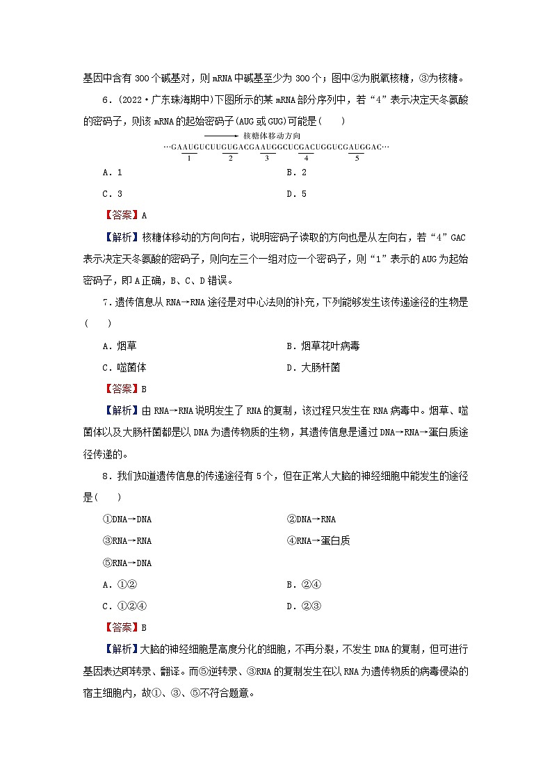 2024春高中生物第4章基因的表达1基因指导蛋白质的合成课后提能训练（人教版必修2）第3页