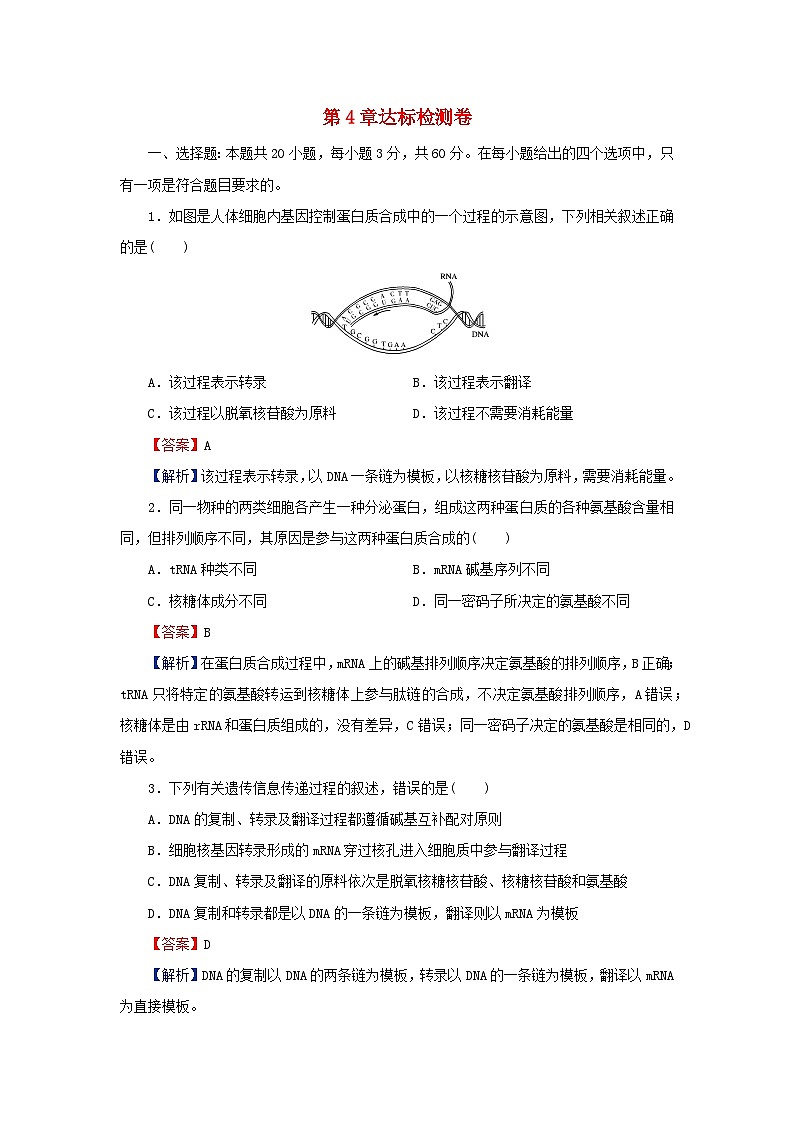 2024春高中生物第4章基因的表达达标检测卷（人教版必修2）第1页
