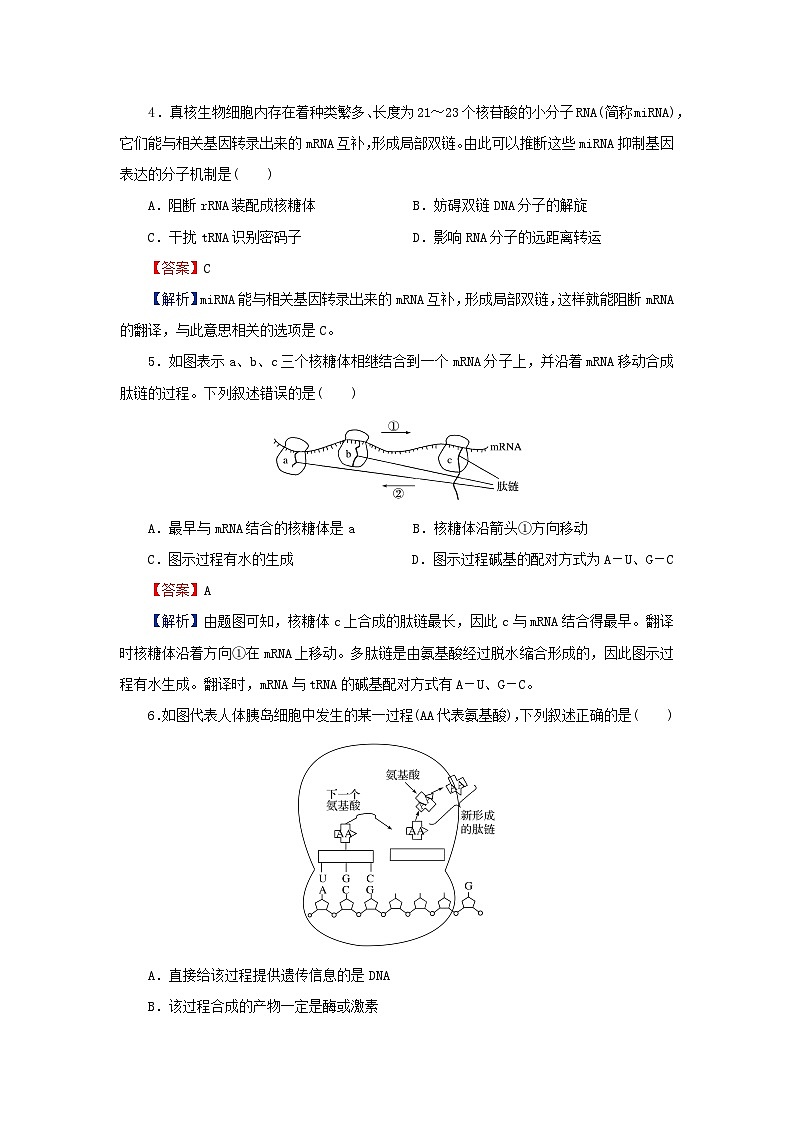 2024春高中生物第4章基因的表达达标检测卷（人教版必修2）第2页