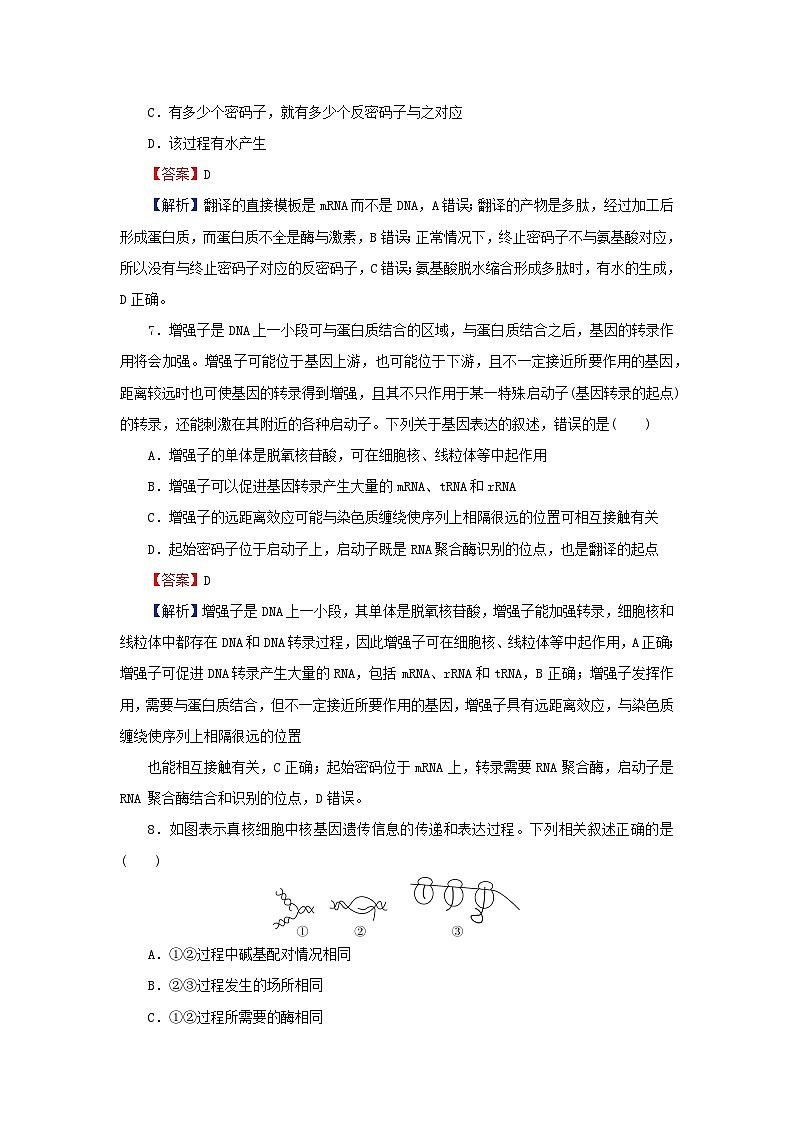 2024春高中生物第4章基因的表达达标检测卷（人教版必修2）第3页