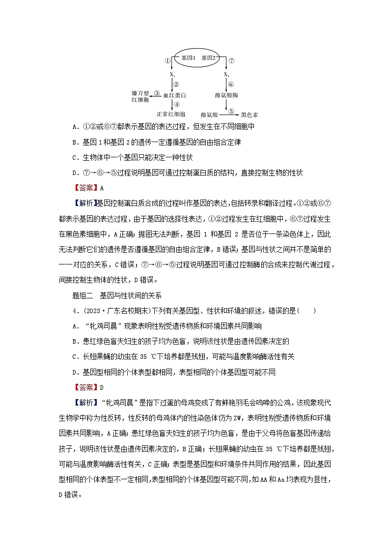 2024春高中生物第4章基因的表达2基因表达与性状的关系课后提能训练（人教版必修2）02