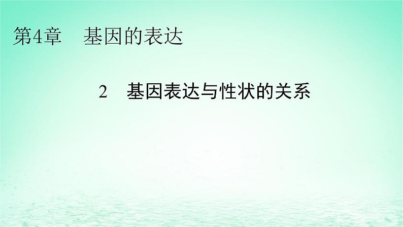 2024春高中生物第4章基因的表达2基因表达与性状的关系课件（人教版必修2）第1页