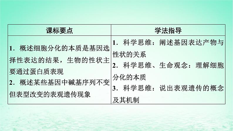 2024春高中生物第4章基因的表达2基因表达与性状的关系课件（人教版必修2）第2页