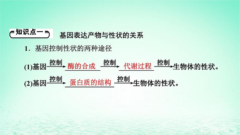 2024春高中生物第4章基因的表达2基因表达与性状的关系课件（人教版必修2）第5页