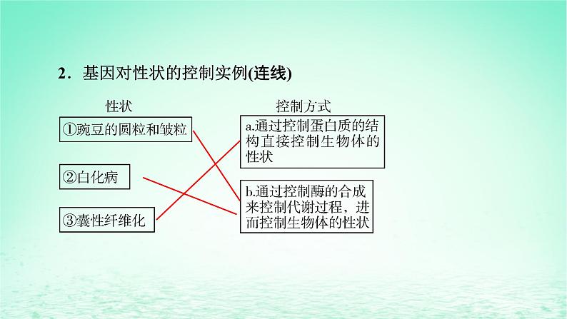 2024春高中生物第4章基因的表达2基因表达与性状的关系课件（人教版必修2）第6页