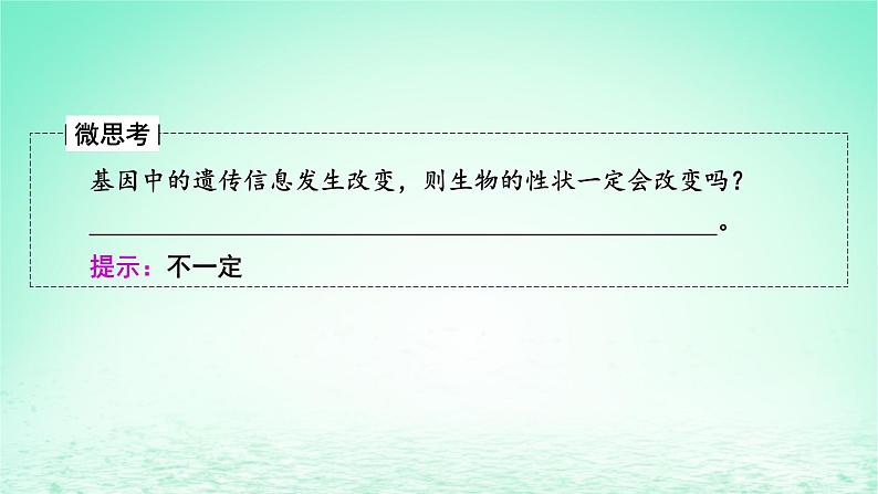 2024春高中生物第4章基因的表达2基因表达与性状的关系课件（人教版必修2）第7页