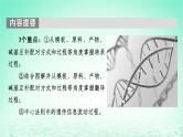 2024春高中生物第4章基因的表达1基因指导蛋白质的合成课件（人教版必修2）