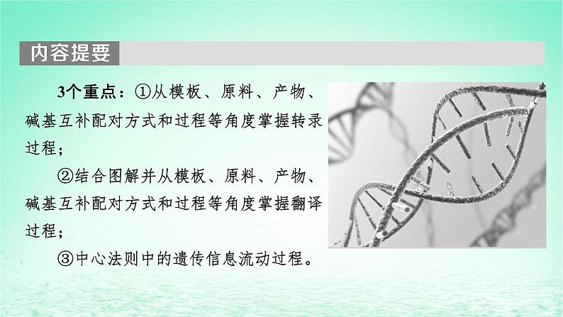 2024春高中生物第4章基因的表达1基因指导蛋白质的合成课件（人教版必修2）第3页