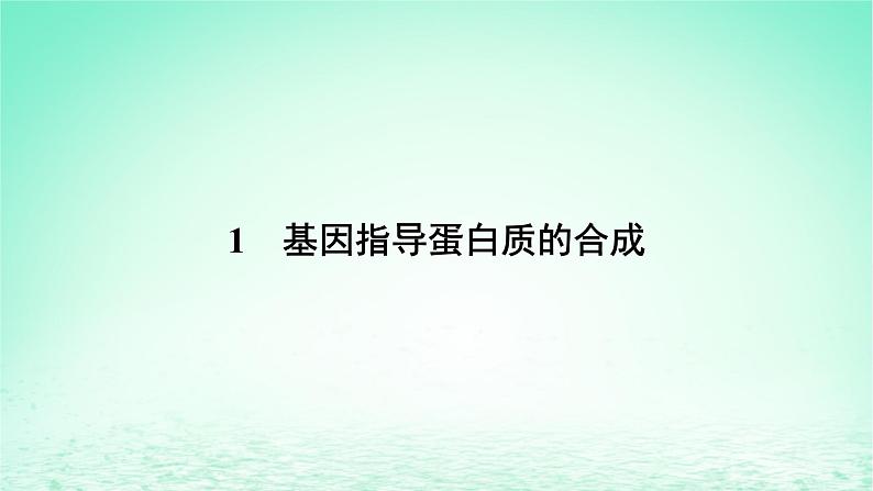 2024春高中生物第4章基因的表达1基因指导蛋白质的合成课件（人教版必修2）第5页