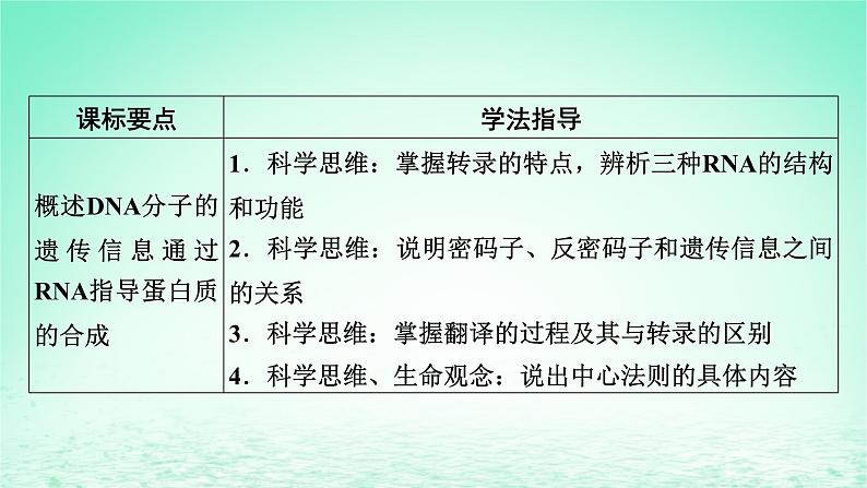 2024春高中生物第4章基因的表达1基因指导蛋白质的合成课件（人教版必修2）第6页