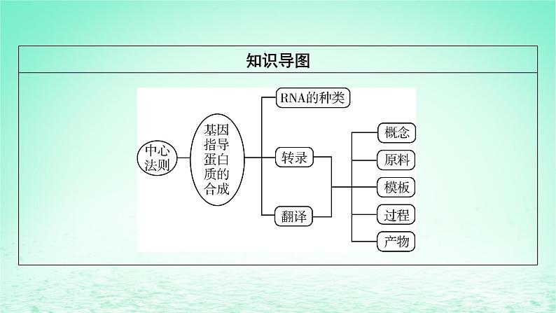 2024春高中生物第4章基因的表达1基因指导蛋白质的合成课件（人教版必修2）第7页