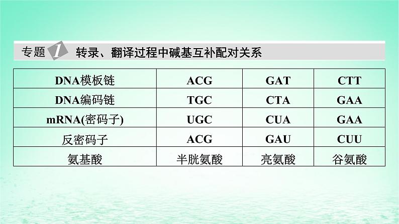 2024春高中生物第4章基因的表达章末总结课件（人教版必修2）05