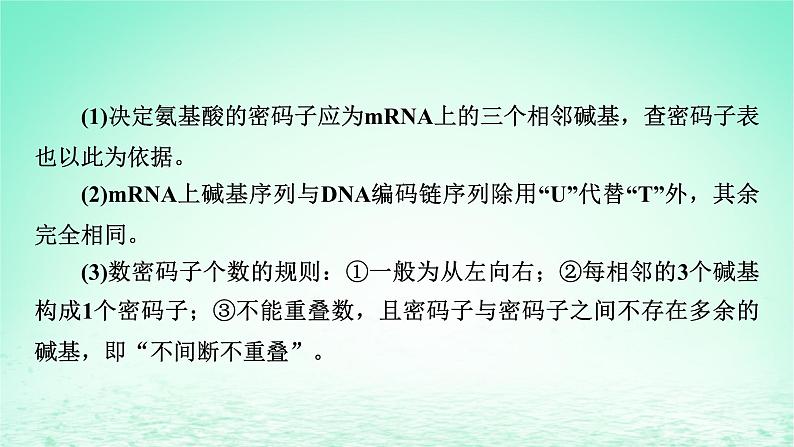 2024春高中生物第4章基因的表达章末总结课件（人教版必修2）06