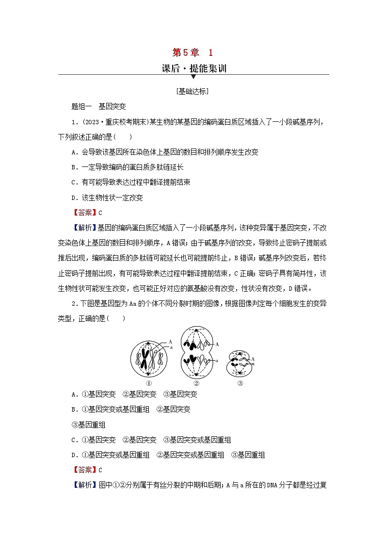 2024春高中生物第5章基因突变及其他变异1基因突变和基因重组课后提能训练（人教版必修2）01